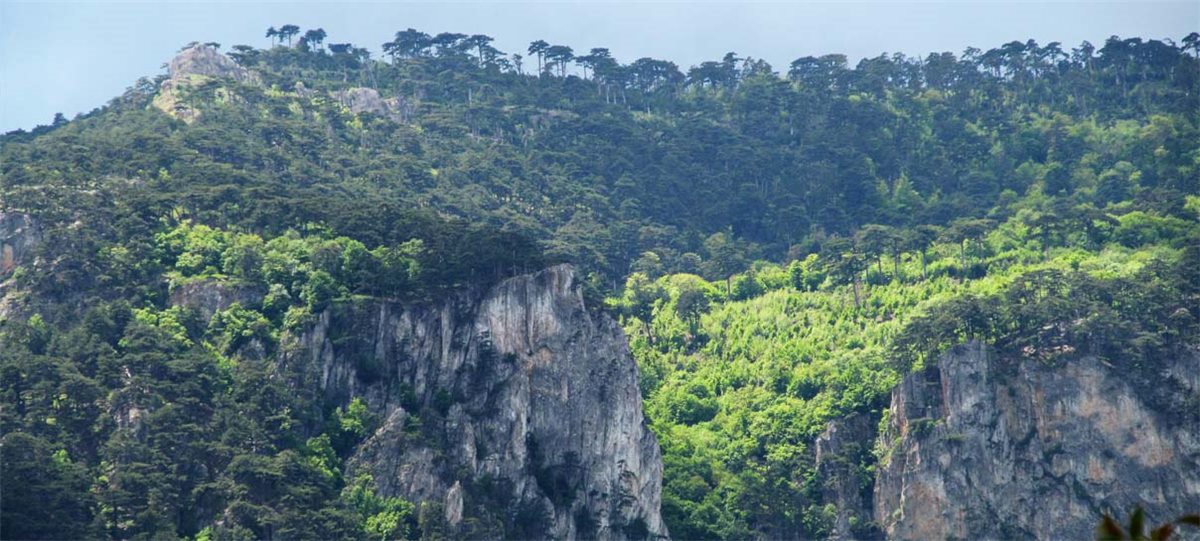 Горы Южного берега Крыма, защищающие Гурзуф от ветров — фото 4